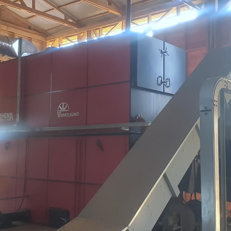 NewSaw Termolegno Biomass Hot Water Boiler