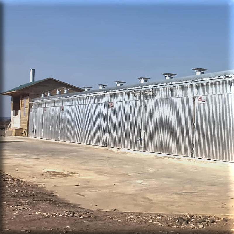 NewSaw Termolegno Kilns in Tanzania